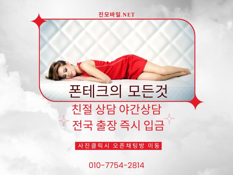 폰테크의 모든것 이미지