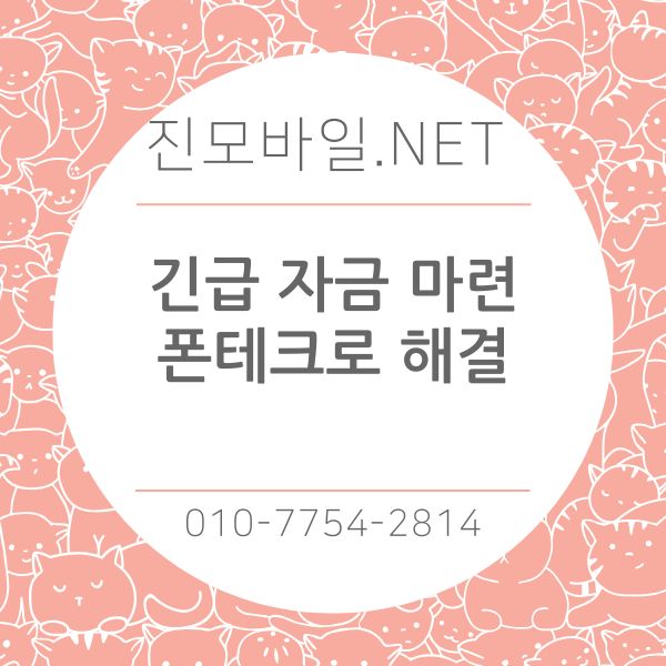 긴급자금 폰테크로 해결 이미지